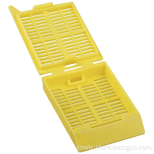 Lab Ware Plastic Embedding Cassettes: Products, Applications, and Buying Guide